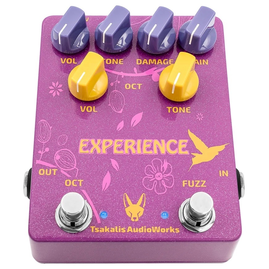 Tsakalis AudioWorks Experience 70s Fuzz and Octave Up 3