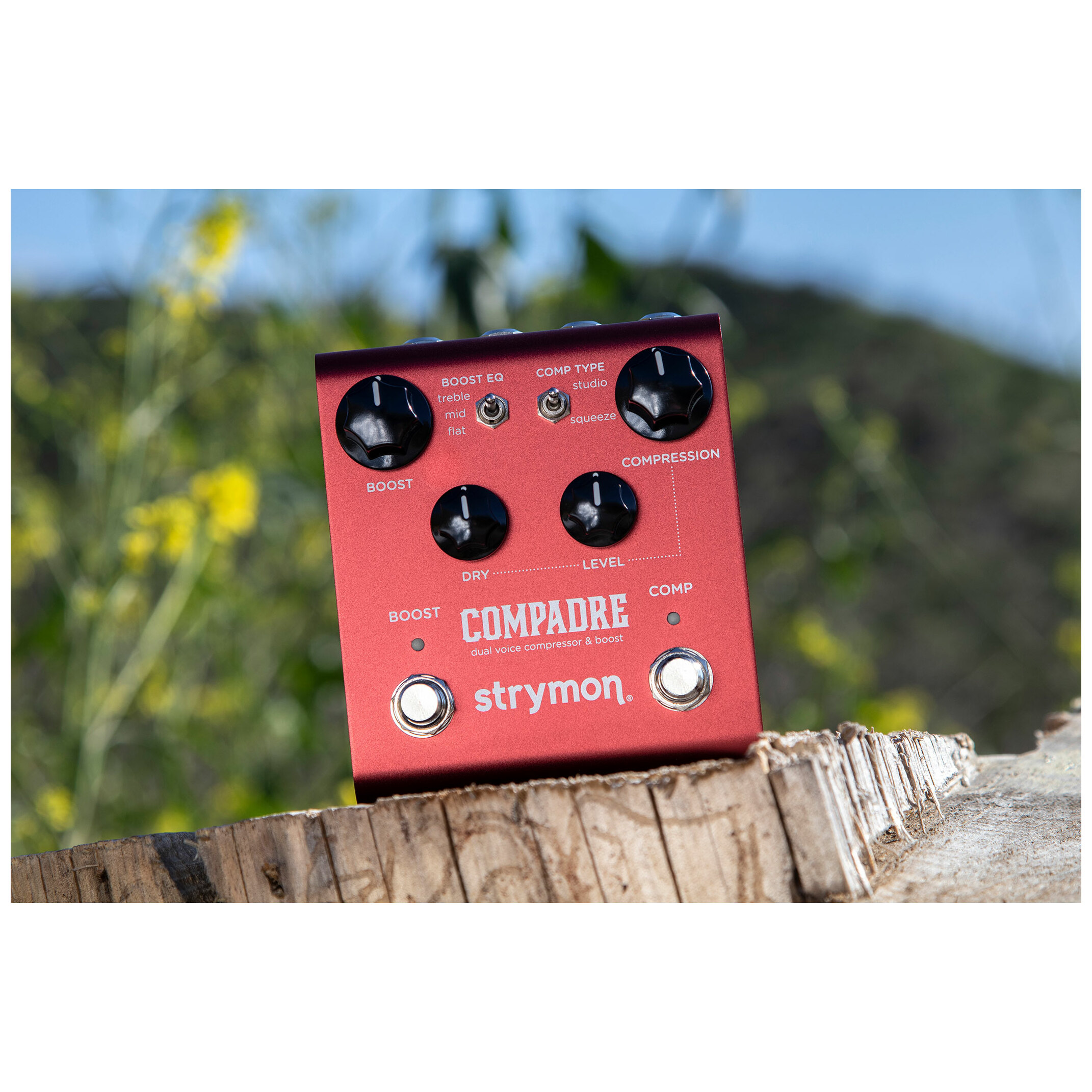 Strymon COMPADRE 7