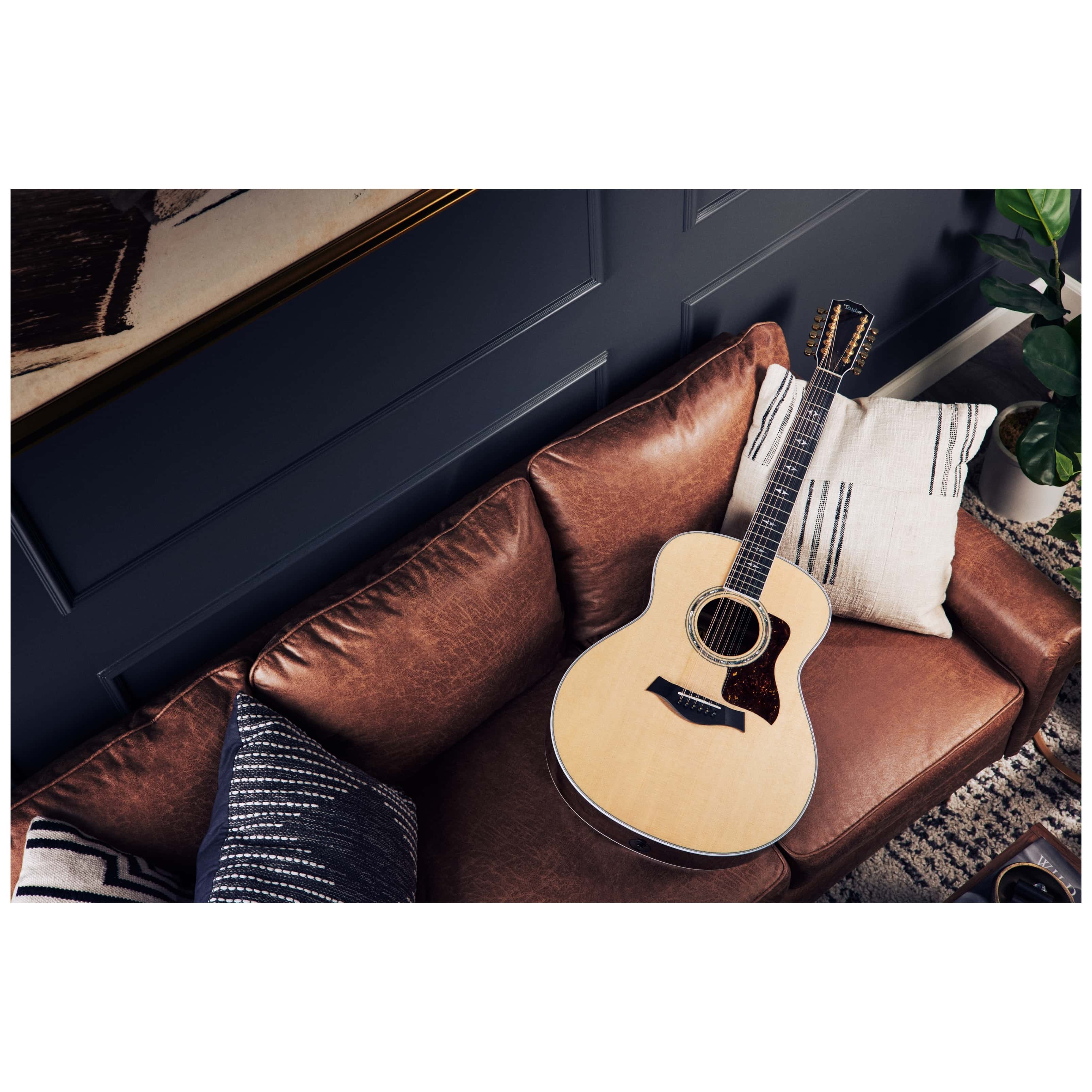 Taylor 858e 50th Anniversary 5