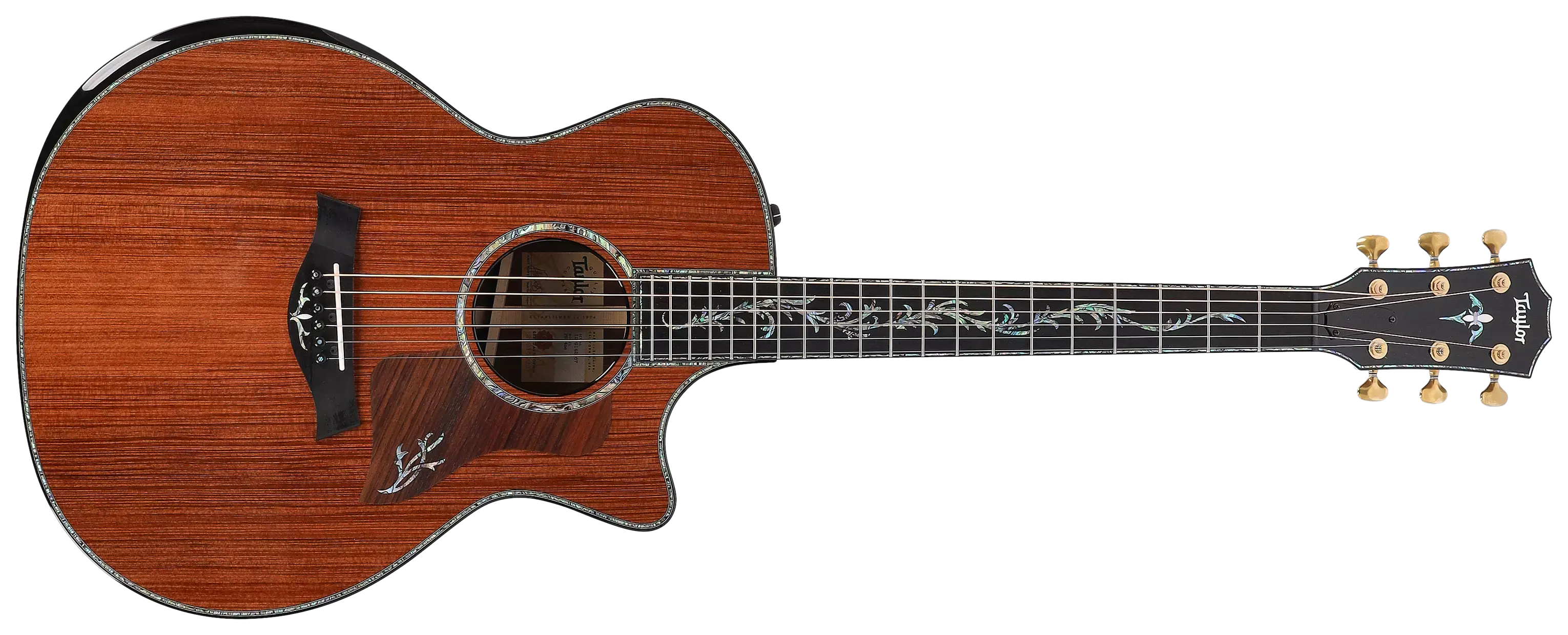 Taylor PS14ce 1