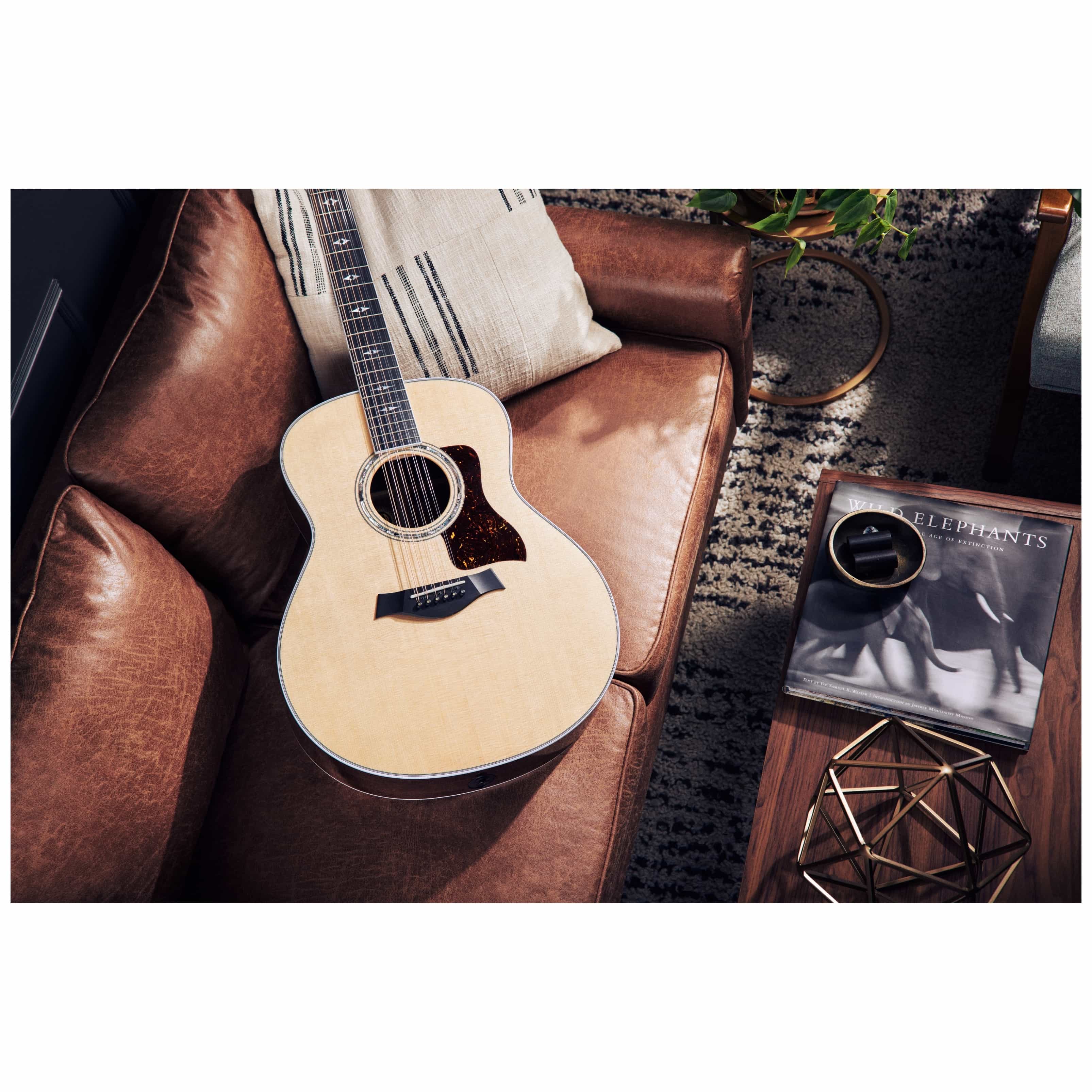 Taylor 858e 50th Anniversary 4