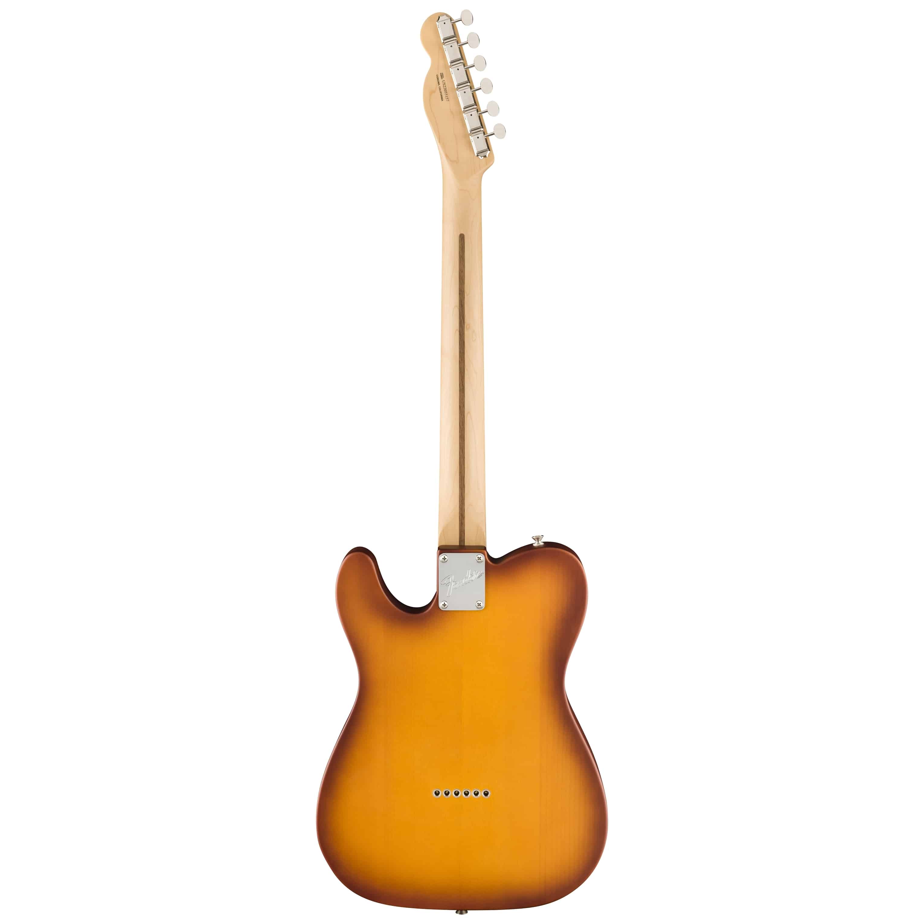 Fender American Performer Telecaster MN Honey Burst 1