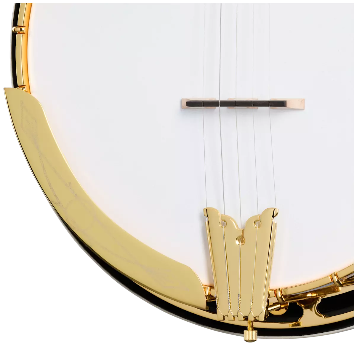 Epiphone Earl Scruggs Golden Deluxe Banjo 2