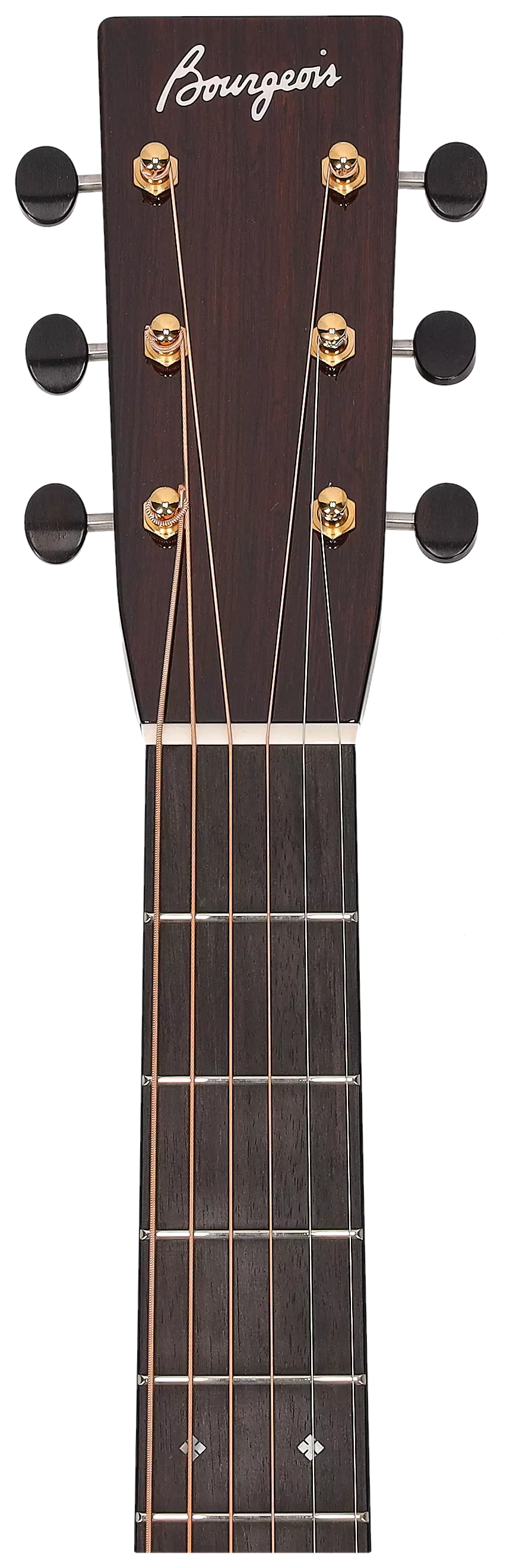 Bourgeois Guitars The Soloist OMC Italian Madagascar 6