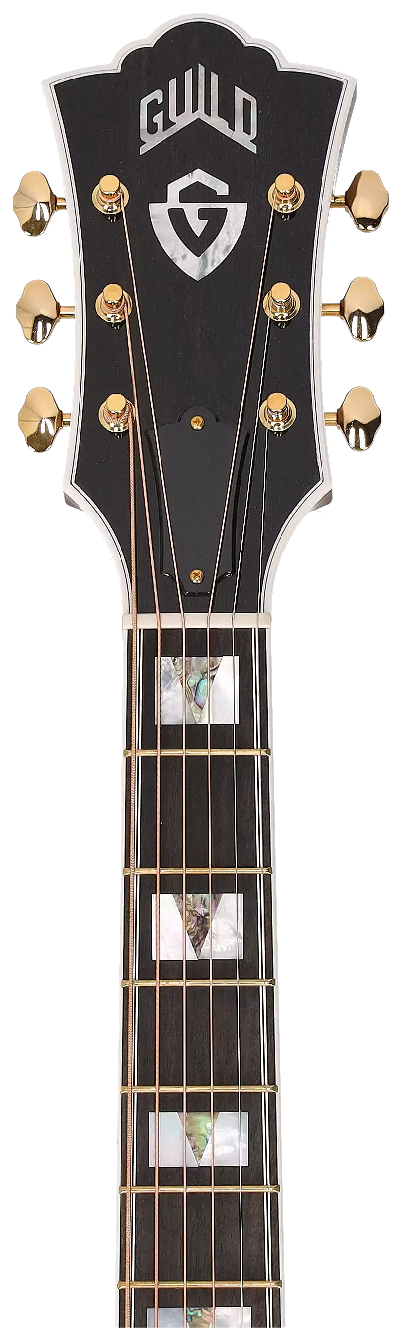 Guild D-55 GSR 70th Ann Madagascar 5