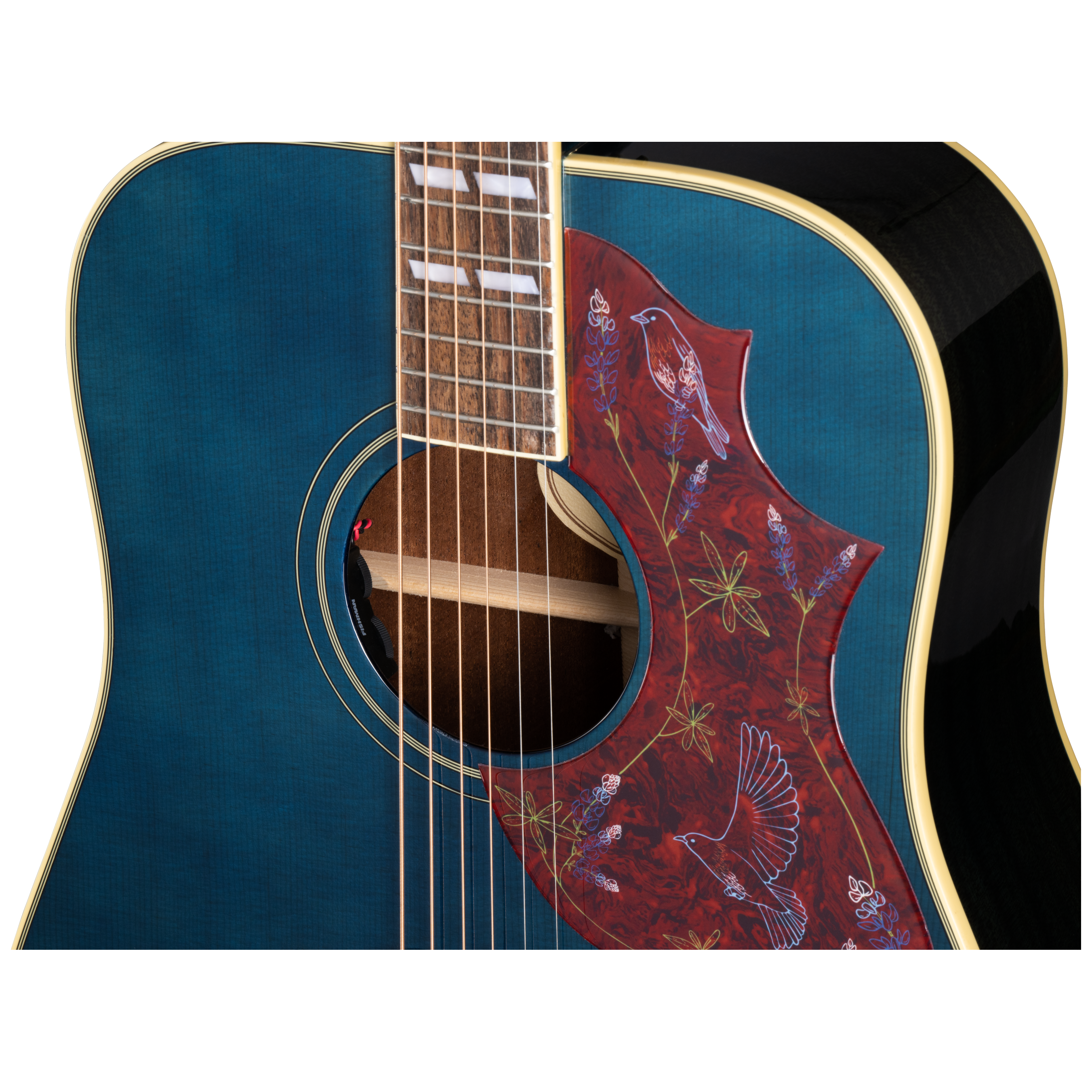 Epiphone Miranda Lambert Bluebird 9