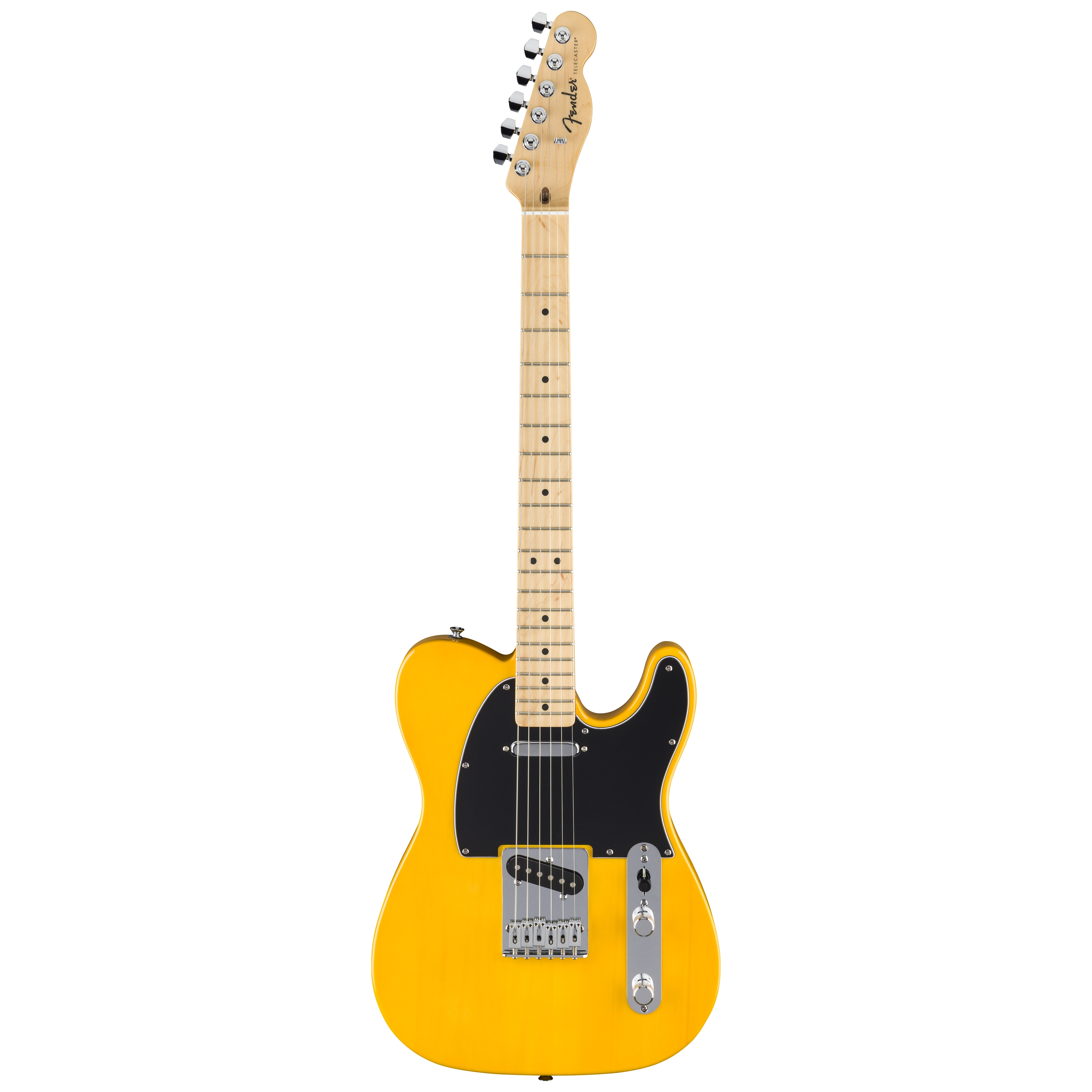 Fender Standard Tele MN BPG BTB 1