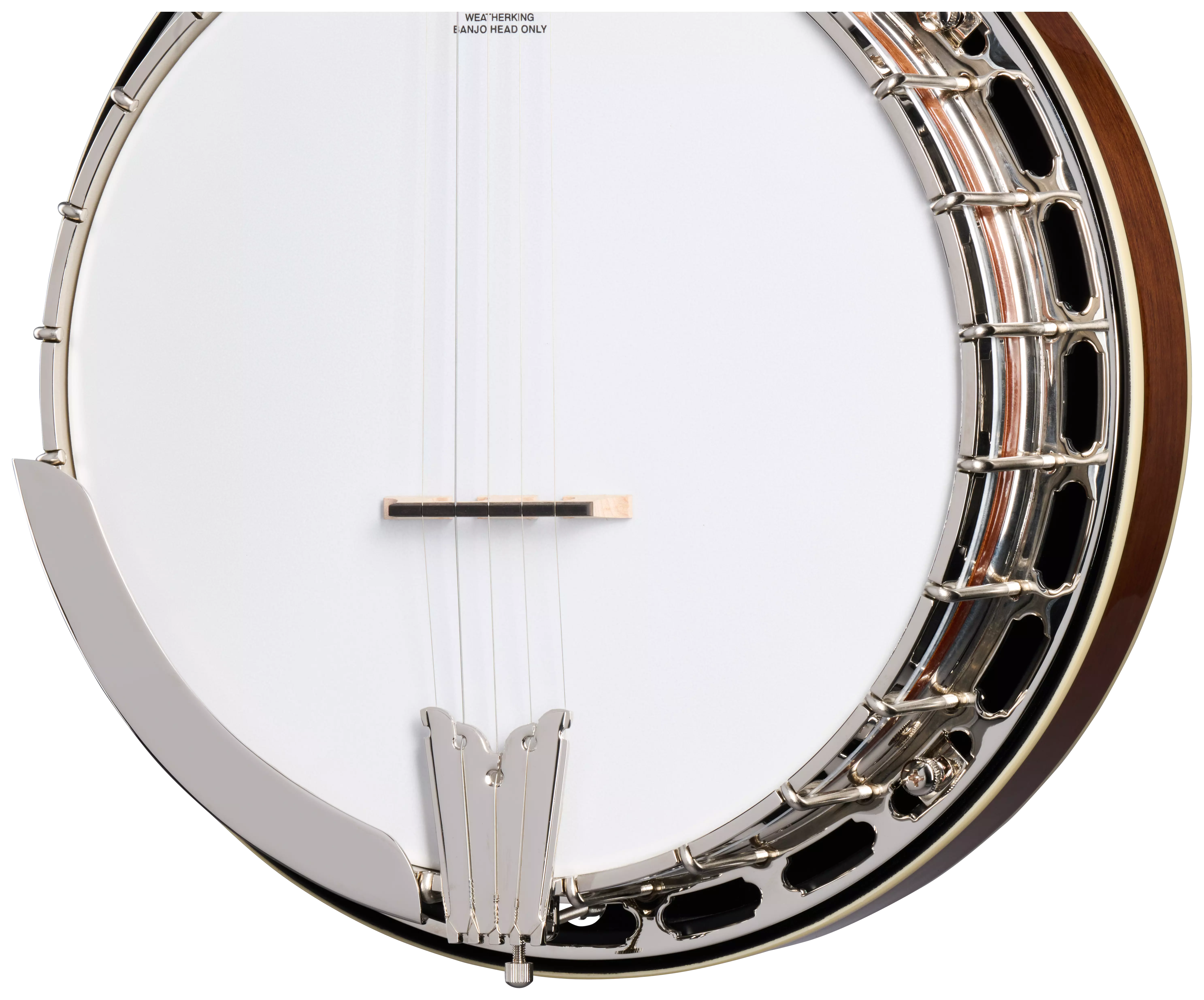 Epiphone Mastertone Classic Banjo 6