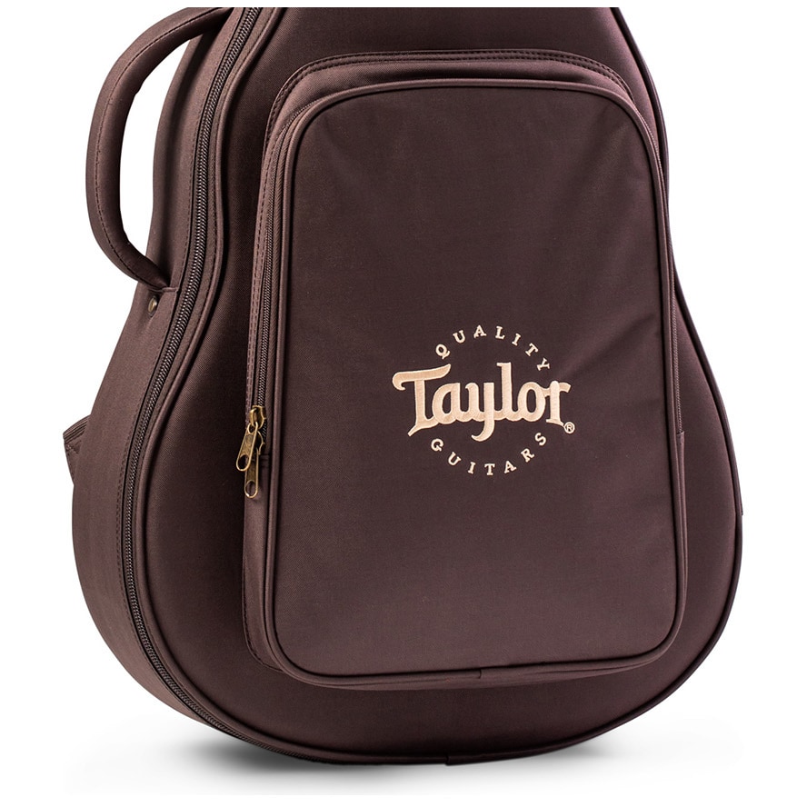 Taylor Aero Case GS Mini