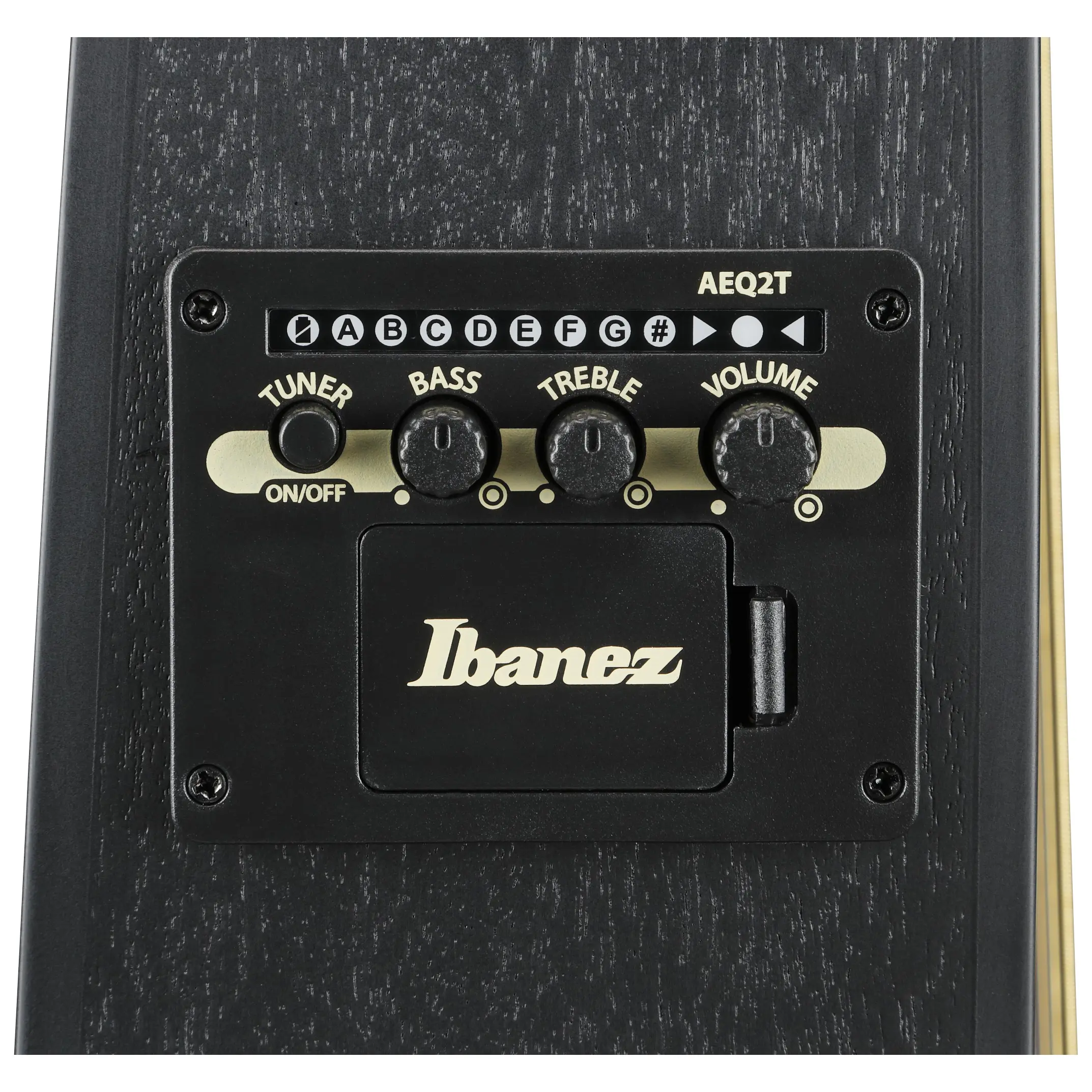 Ibanez TCY621-BOT Black Out 9