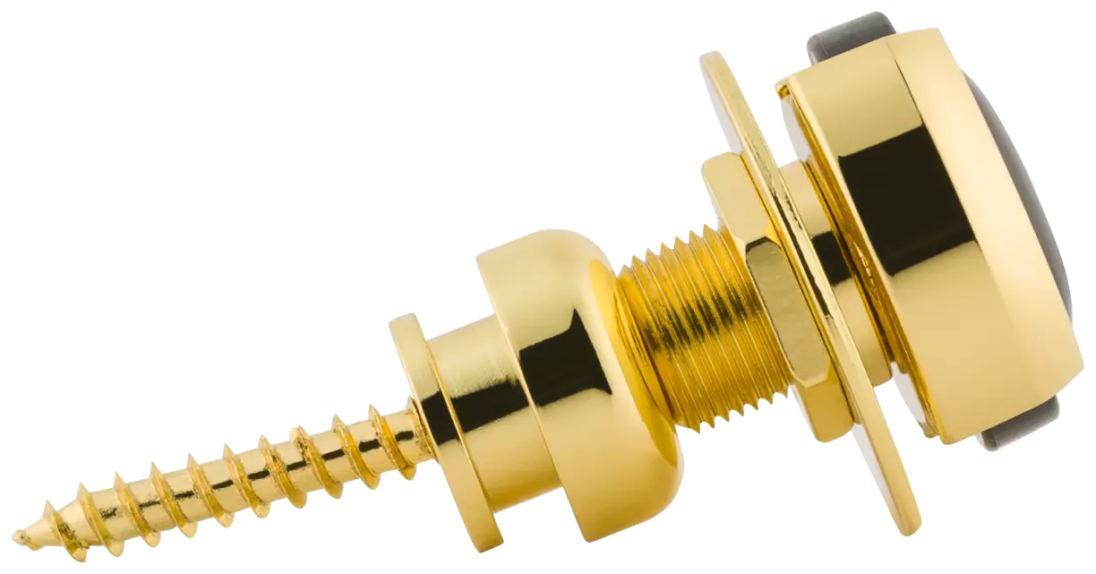 Jackson Strap Locks Gold 2