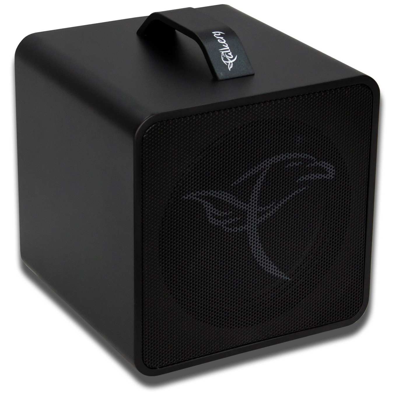 Falken - Falken Traveller Akustik-Amp Black