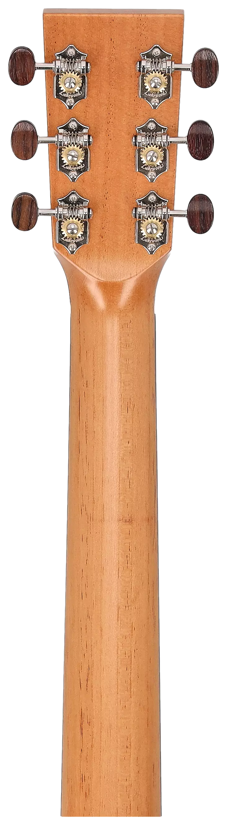 Lakewood M Bocote Custom 6